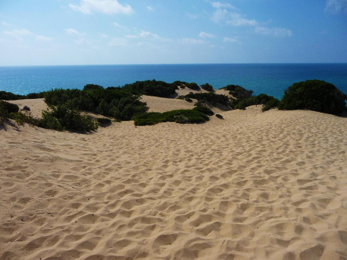 فيلا Agriturismo Satanca أربوس المظهر الخارجي الصورة