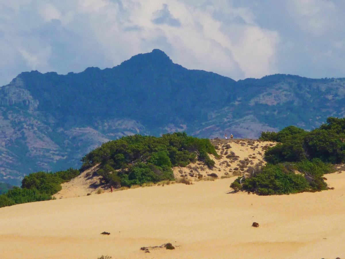 فيلا Agriturismo Satanca أربوس المظهر الخارجي الصورة